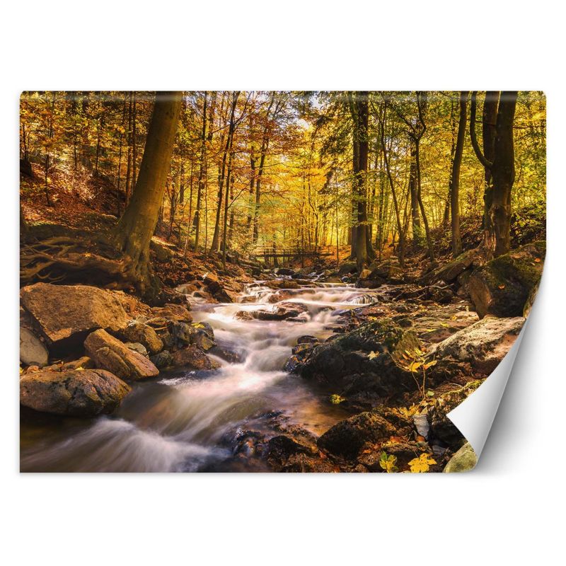 Fototapeta Feeby Leśny potok jesienią 200x140 1 szt