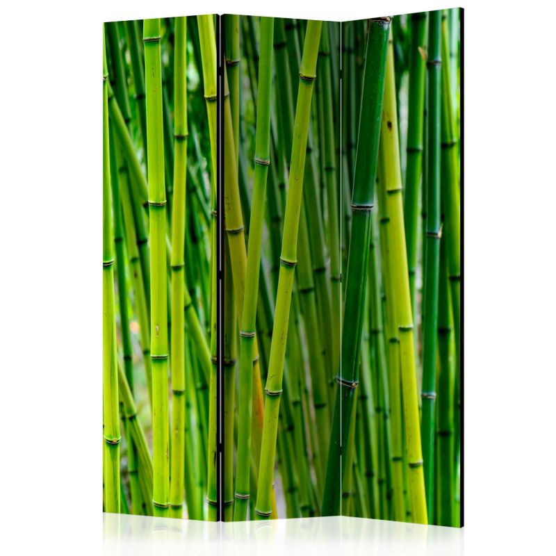 Parawan jednostronny Artgeist Orient 135x172 cm Orient 1 szt