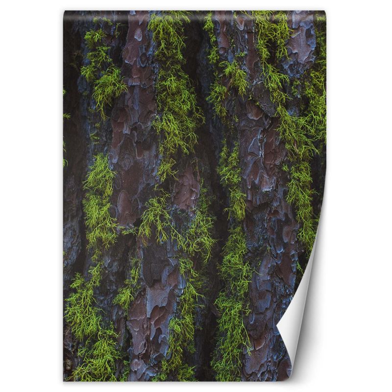 Fototapeta Feeby Drzewo mech 150x210 1 szt