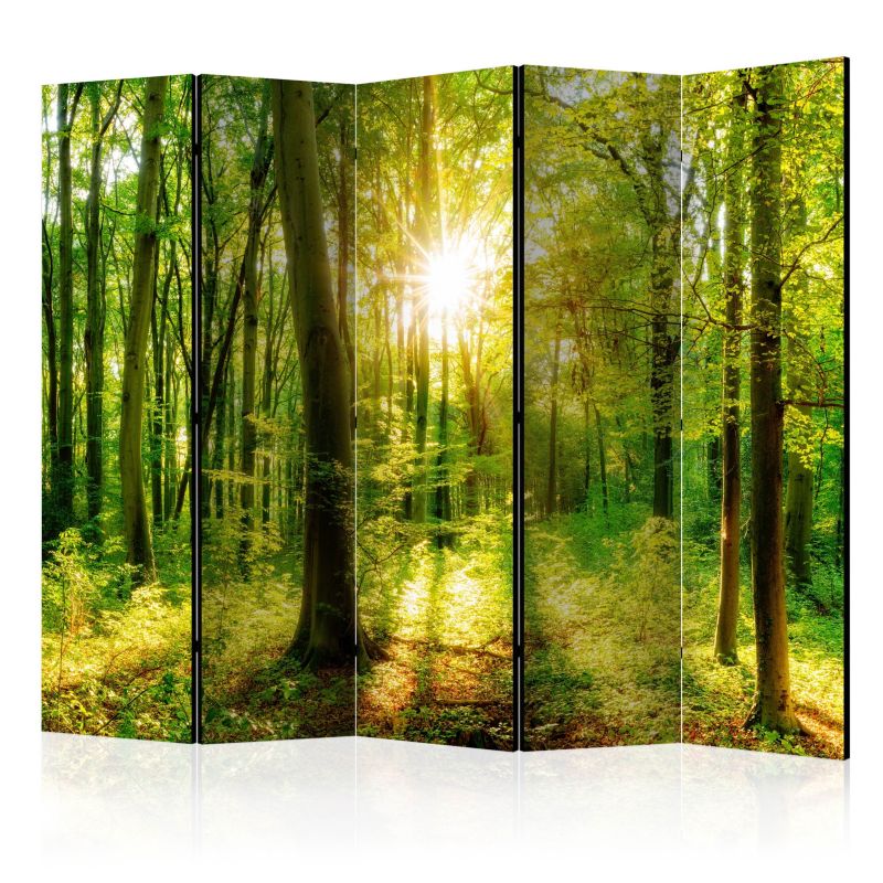 Parawan jednostronny Artgeist Pejzaże 225x172 cm Pejzaże 1 szt