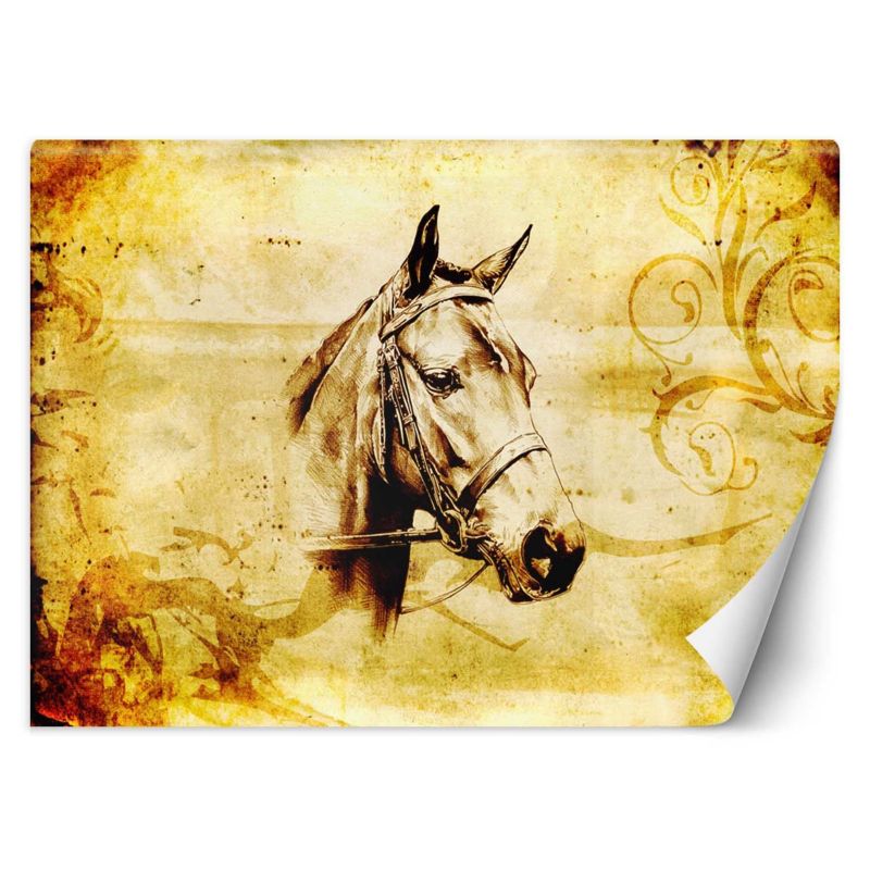 Fototapeta Feeby Koń vintage 400x280 1 szt