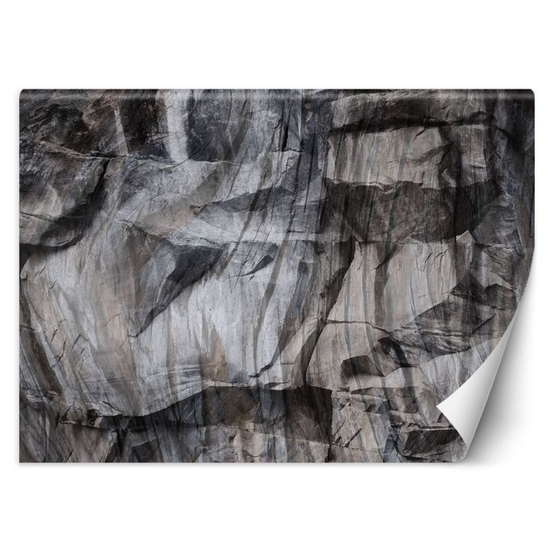 Fototapeta Feeby Brązowe skały 3D 450x315 1 szt