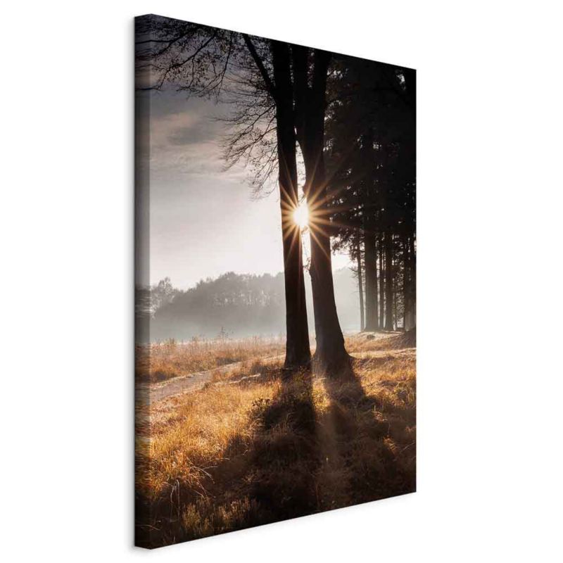 Obraz Artgeist Jesteśmy promykiem 20 x 30 cm flizelina 1 szt