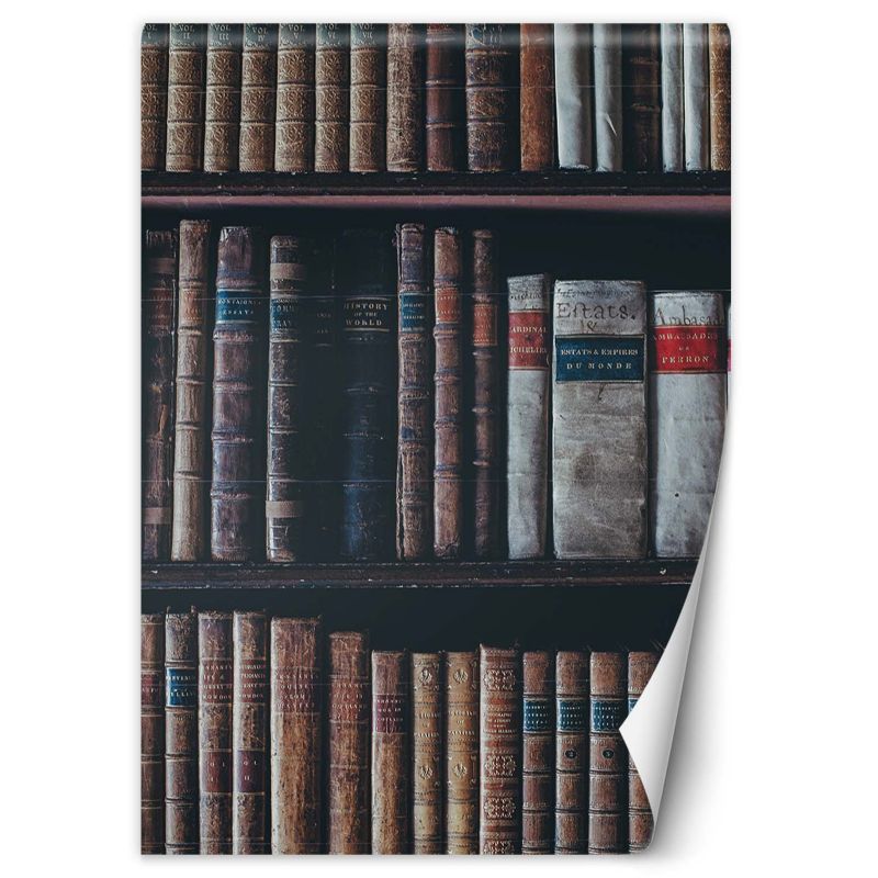 Fototapeta Feeby Biblioteka książki 200x280 1 szt