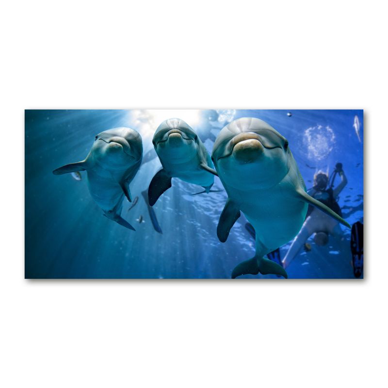 Obraz canvas Tulup Trzy delfiny 125x50 cm 1 szt.
