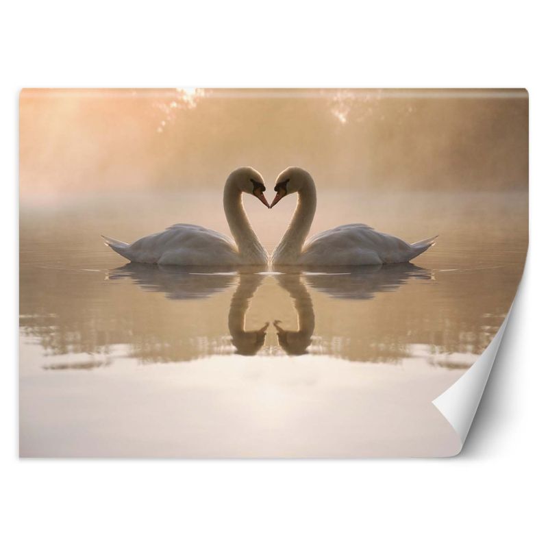 Fototapeta Feeby Łabędzie jezioro 200x140 1 szt