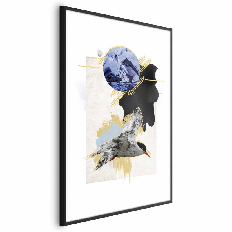 Plakat Artgeist Rybitwa antarktyczna 40x60 cm z ramą czarną 1 szt