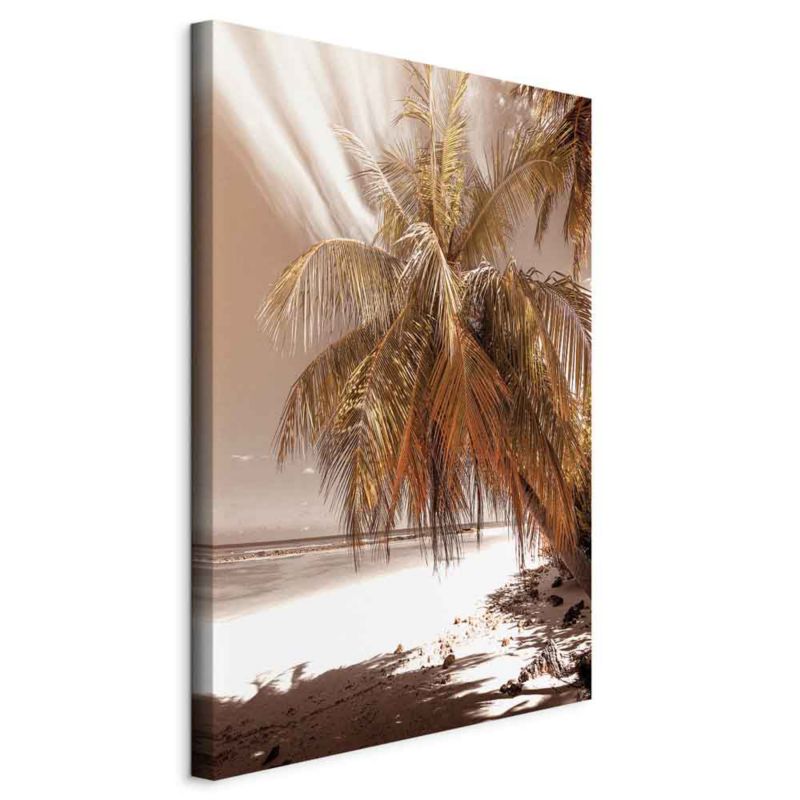 Obraz Artgeist Palmowy cień 60 x 90 cm płótno włoskie 1 szt