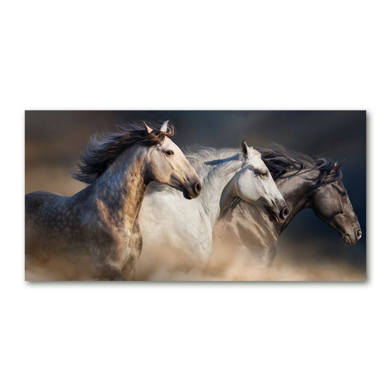 Obraz canvas Tulup Dzika wolność 120x60 cm 1 szt.