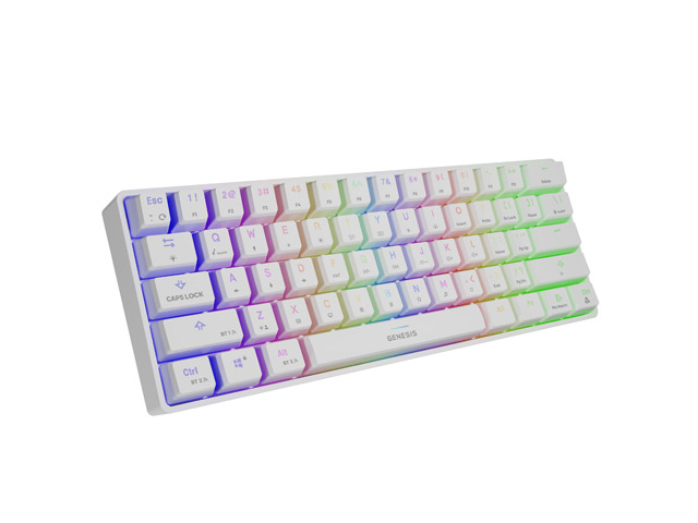 Thor 660 BIAŁA (GATERON BROWN)