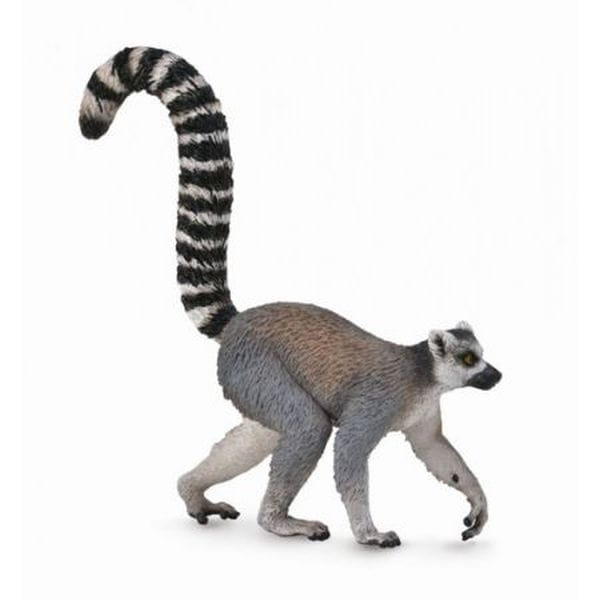 Ring-Tailed Lemur