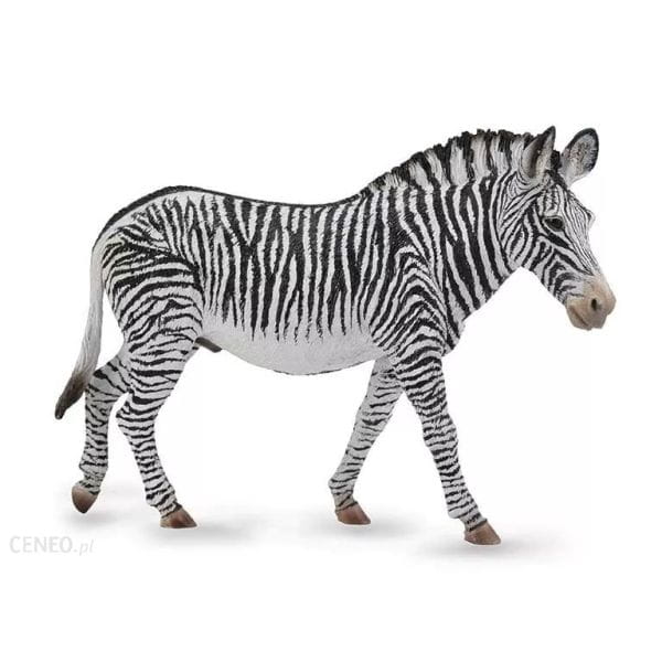 Zebra Grevy"s Collecta