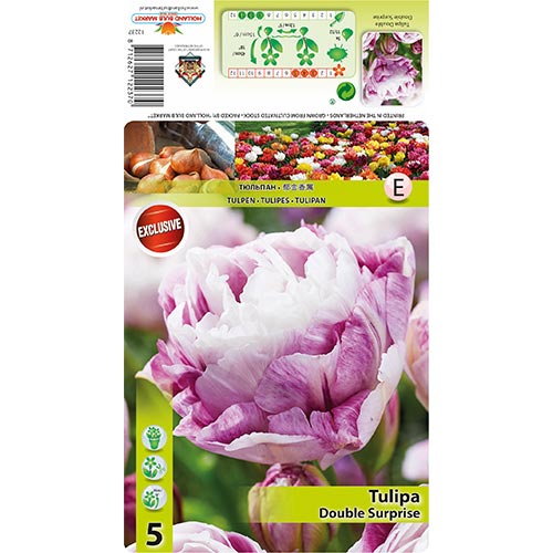 5 szt., Tulipan pełny Double Surprise - Cebule: Ilość w opakowaniu: 5 szt.
