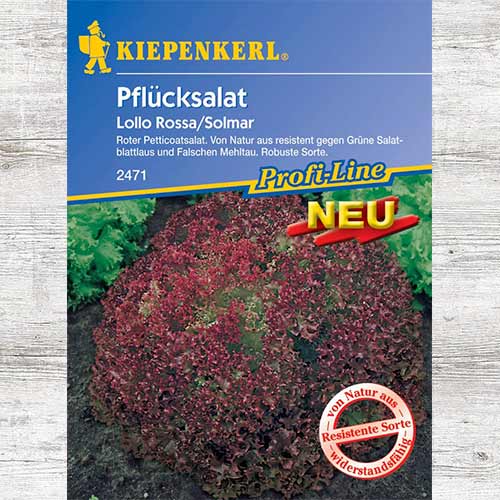 1 szt, Salata liściasta Lollo Rossa Solmar - Nasiona: Ilość w opakowaniu: 1 opak