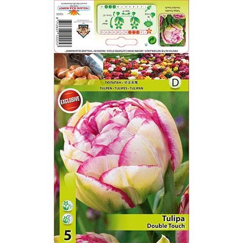 Tulipan pełny Double Touch - Cebule: Ilość w opakowaniu: 5 szt. - GradinaMax