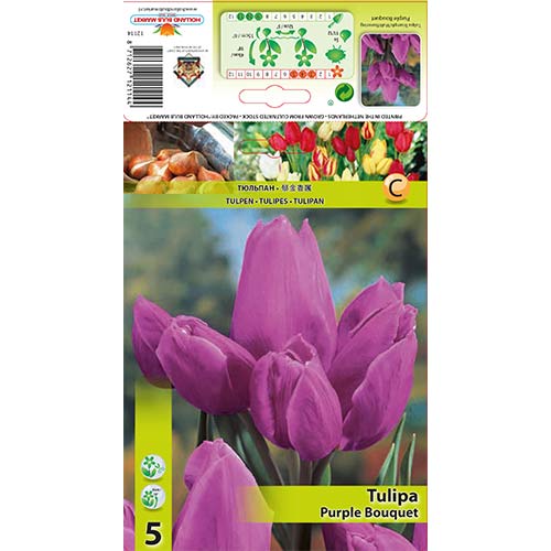 Tulipan Purple Bouquet - Cebule: Ilość w opakowaniu: 5 szt. - GradinaMax
