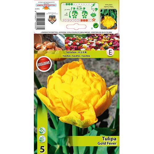 Tulipan pełny Gold Fever - Cebule: Ilość w opakowaniu: 5 szt. - GradinaMax