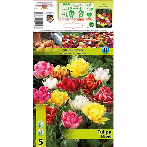Tulipan pełny, mix kolorów - Cebule: Ilość w opakowaniu: 5 szt. - GradinaMax