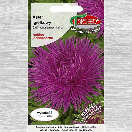 1 szt, Aster chryzantemowy wysoki, wrzosowofioletowy - Nasiona: Ilość w opakowaniu: 0.5 g