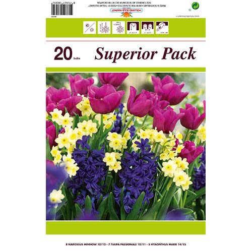 Super oferta! Tulipan Passionale, Narcyz Minnow, Hiacynt Marie, zestaw 20 cebul - Cebule: Ilość w opakowaniu: 20 szt.