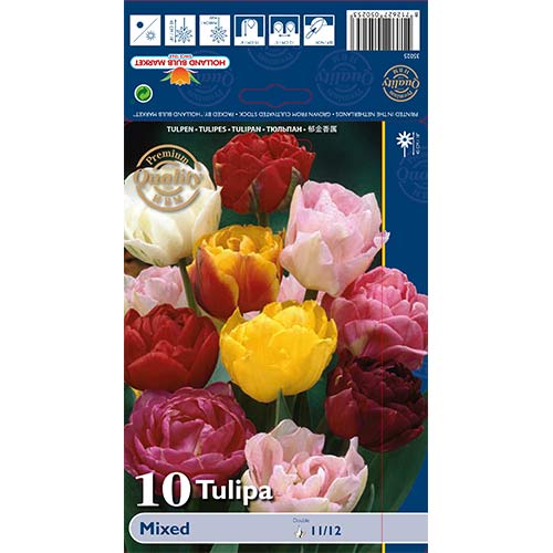 10 szt., Tulipan pełny Double Late Mixed - Cebule: Ilość w opakowaniu: 10 szt.