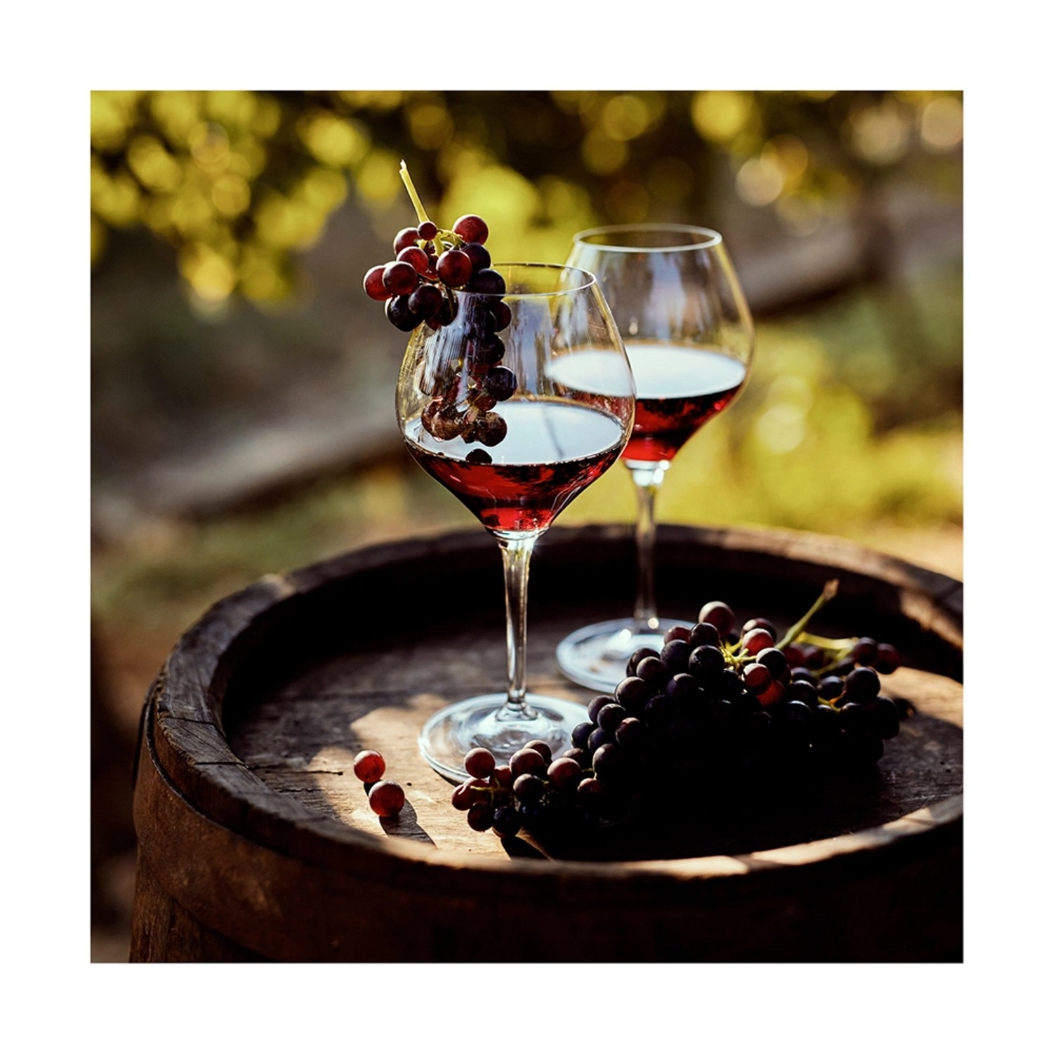 Obraz na szkle GLASS WINE 30 cm x 30 cm