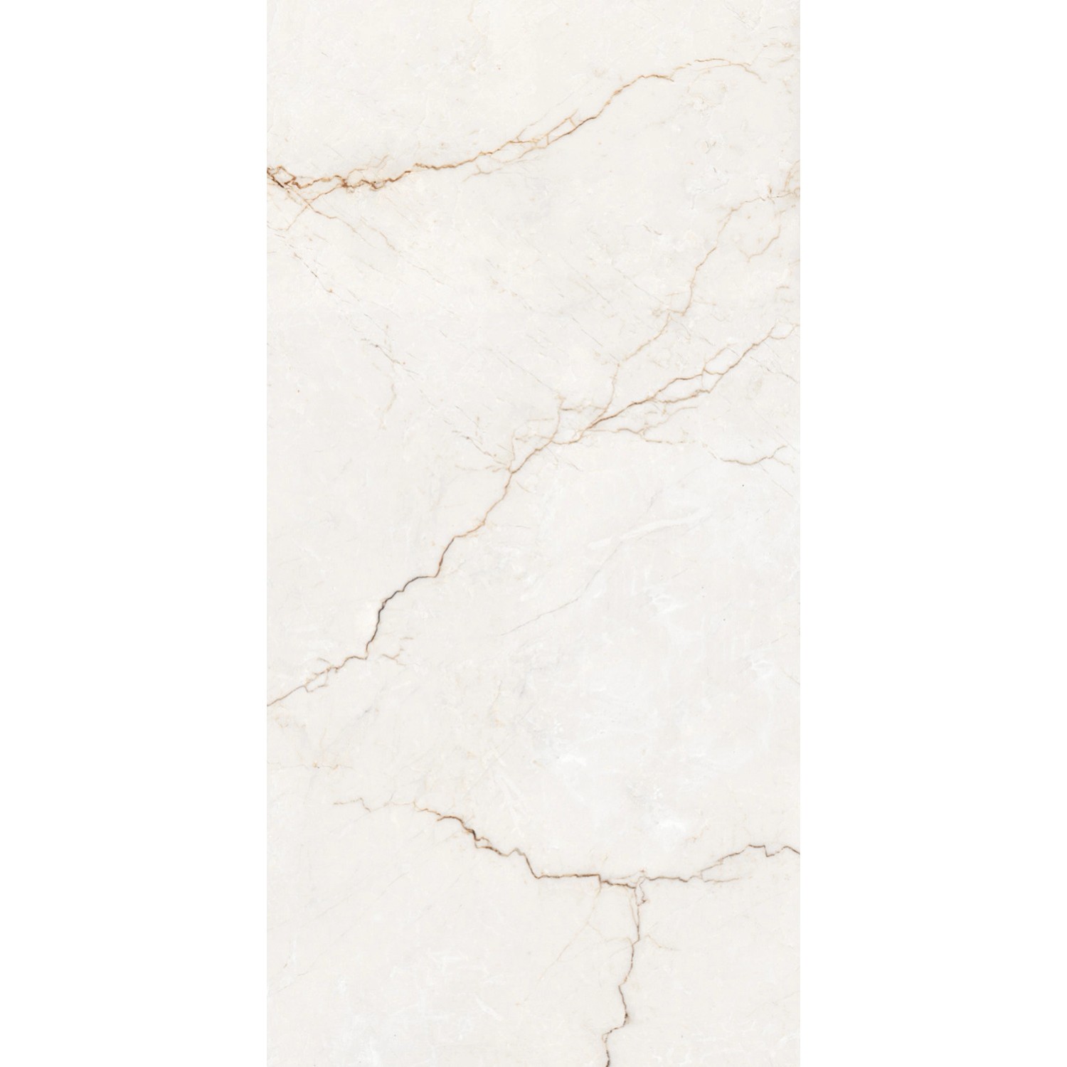 Gres szkliwiony polerowany Royal Rosalio bianco 60 x 120 cm