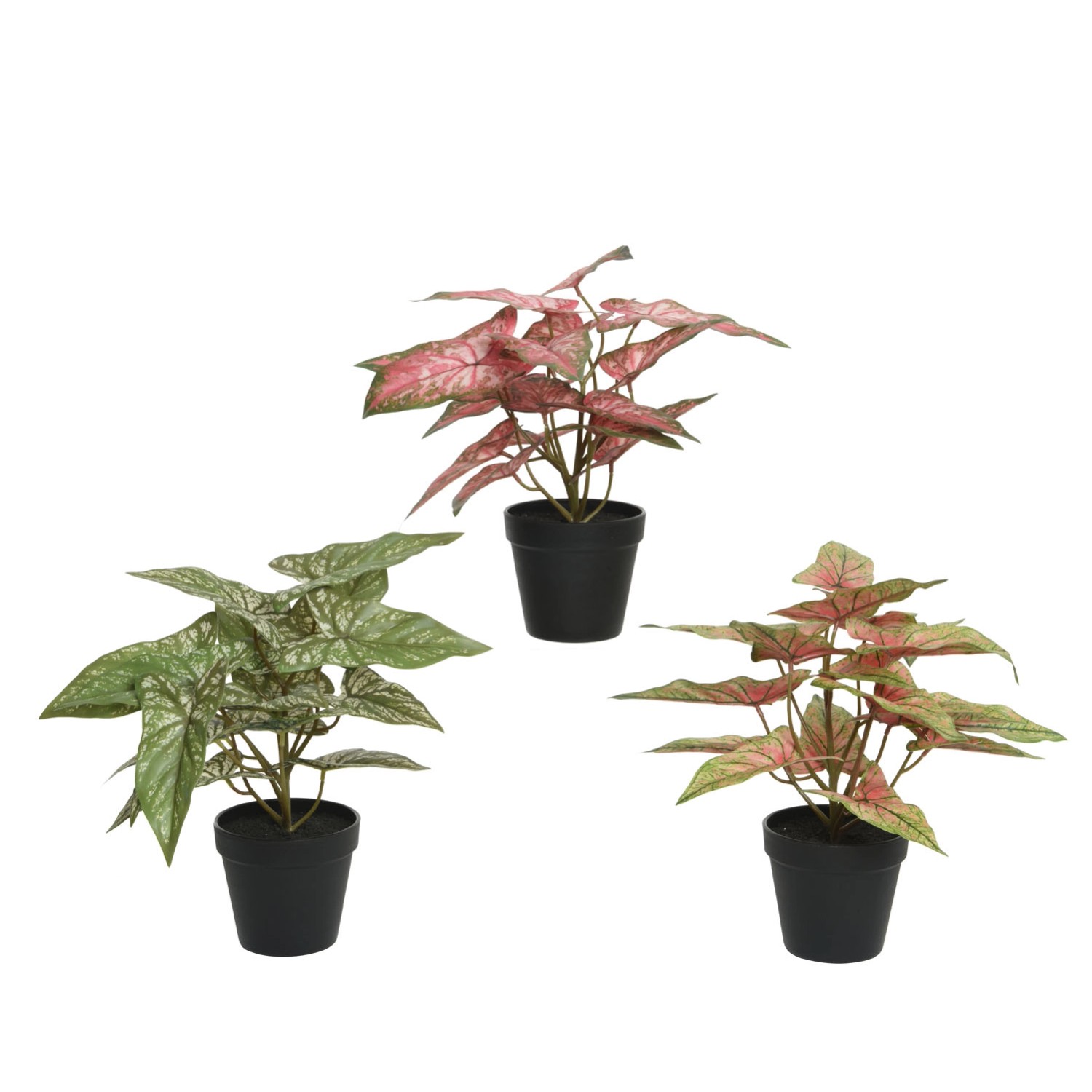 Aglaonema sztuczna w doniczce, mix - wys. 37 cm