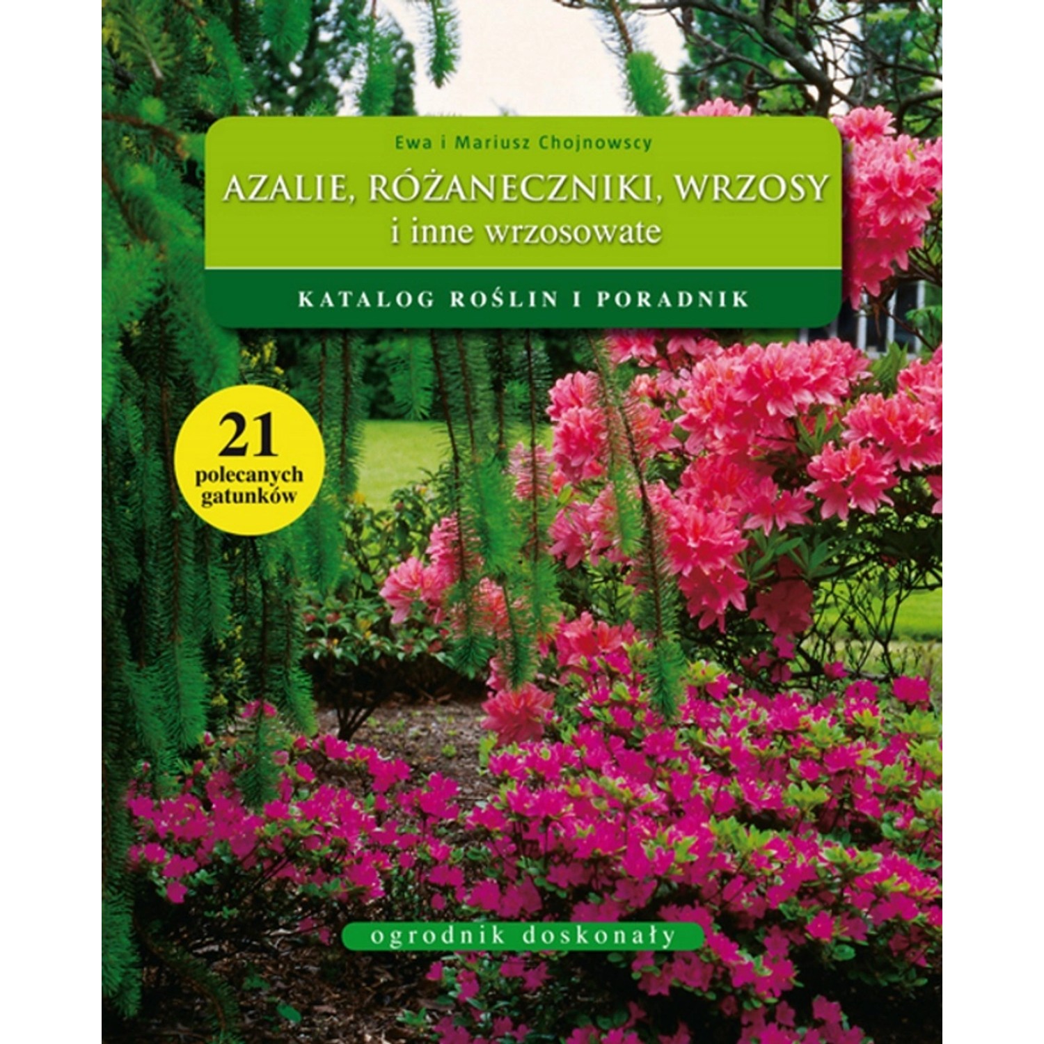 Azalie, różaneczniki, wrzosy i inne wrzosowate