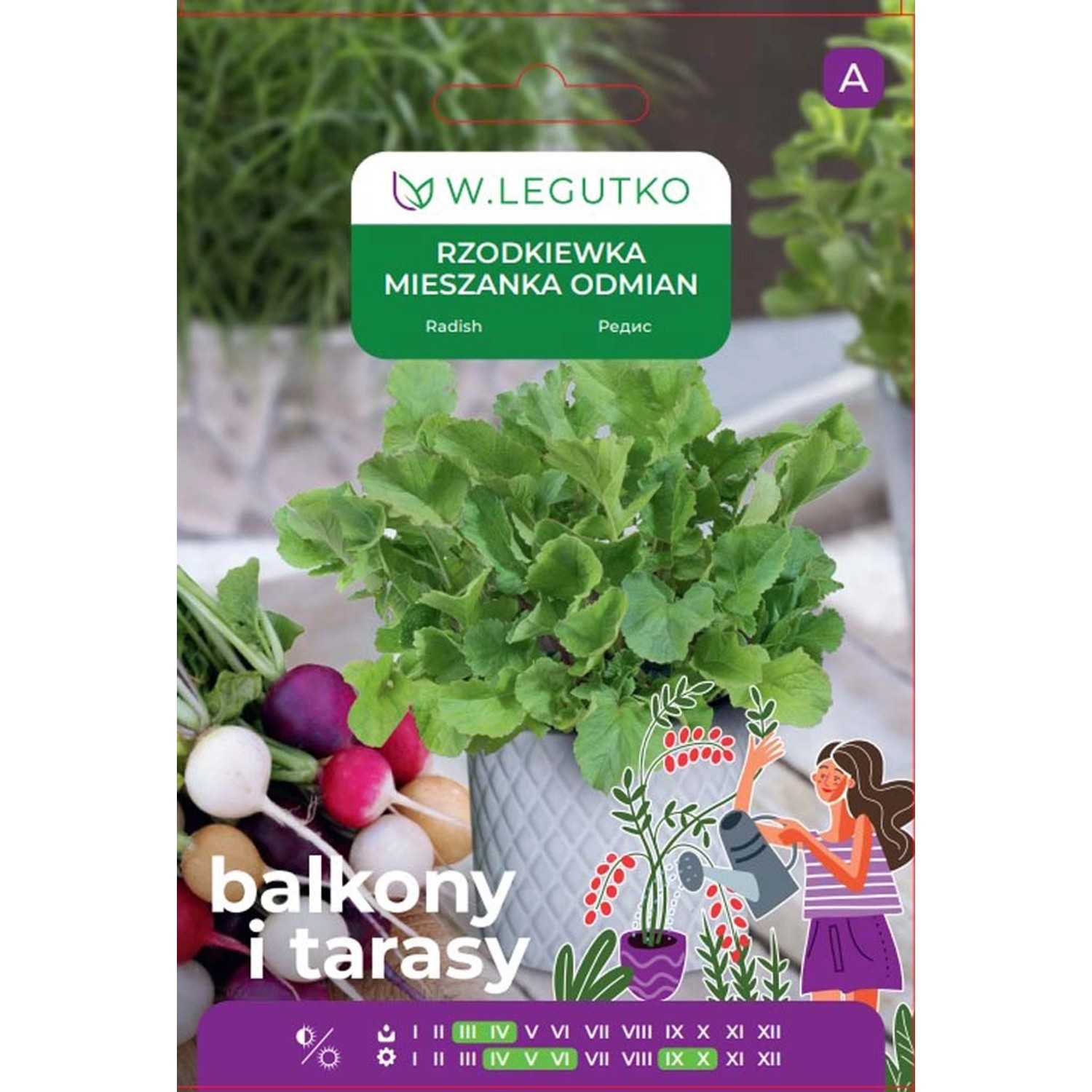 Rzodkiewka kulista (Raphanus sativus) mieszanka odmian - 10 g