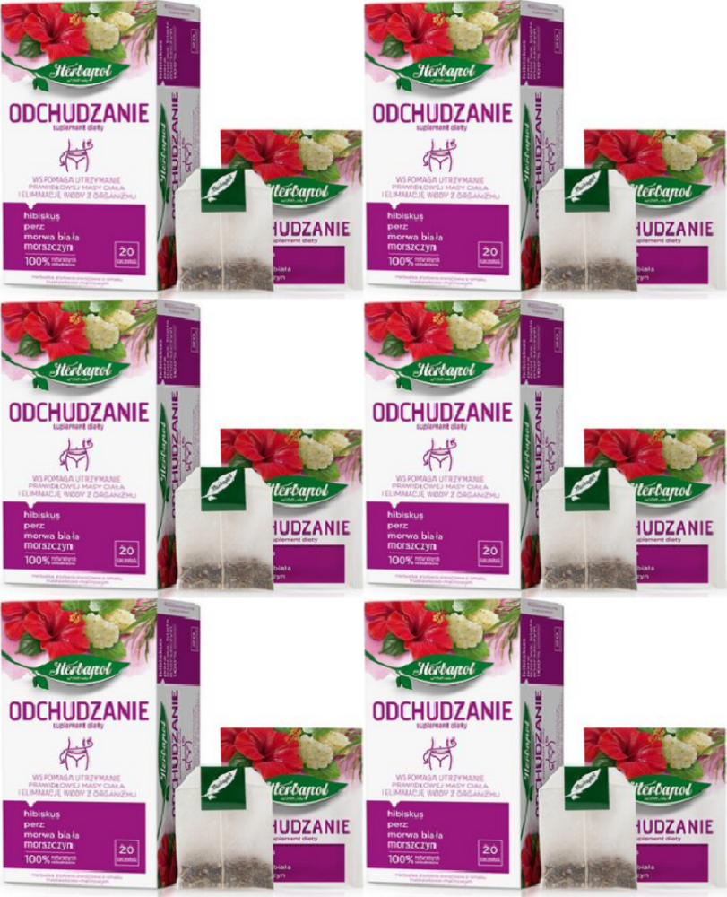 6x Herbata funkcjonalna w torebkach Herbapol Odchudzanie, truskawkowo-malinowy, 20 sztuk x 2g