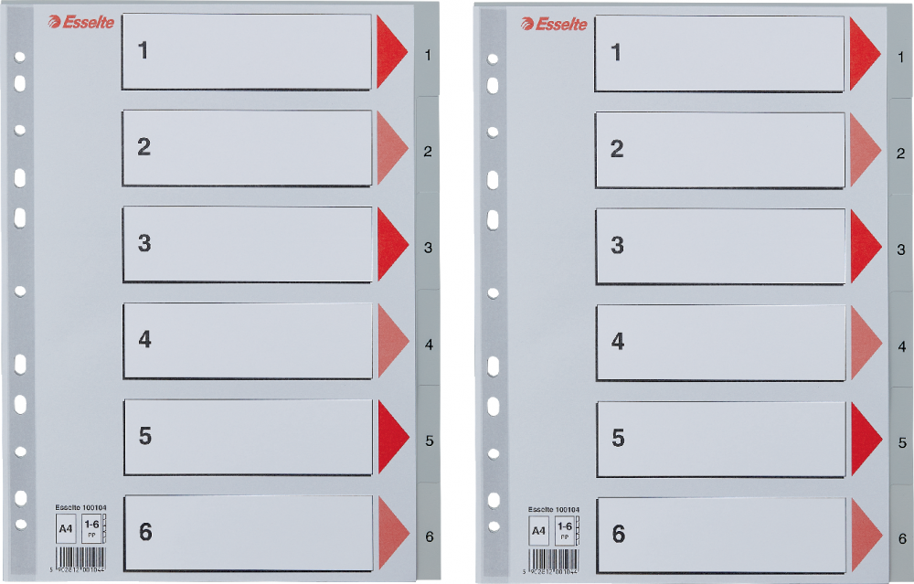 2x Przekładki do segregatora Esselte, plastikowe, numeryczne, A4, 1-6 kart, szary
