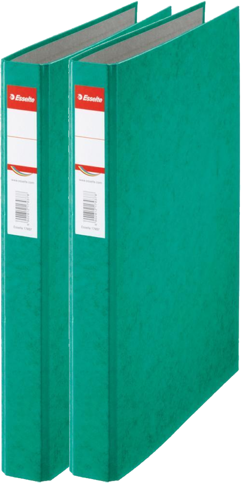 2x Segregator Esselte, A4, szerokość grzbietu 42mm, do 190 kartek, 2 ringi, zielony