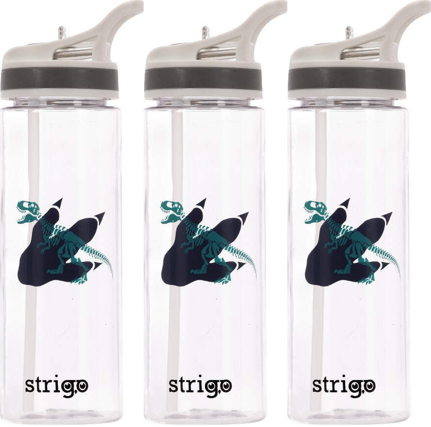 3x Bidon Strigo Dinozaur, 600ml, transparentny