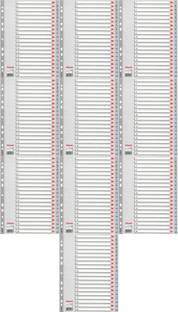 10x Przekładki do segregatora Esselte, plastikowe, numeryczne, A4, 1-20 kart, szary