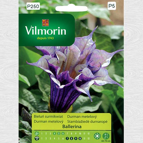 1 pac, Datura Ballerina - Semințe: Mod de ambalare: 5 none