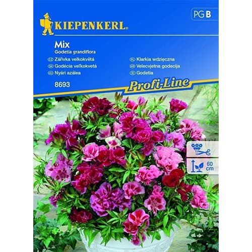 1 pac, Godetia, mix multicolor - Semințe: Mod de ambalare: 1 pac