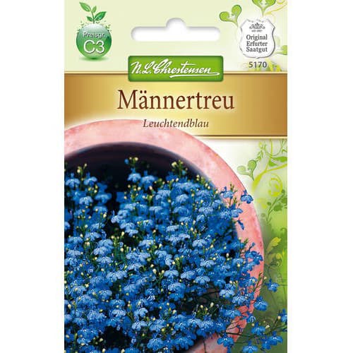1 pac, Lobelia Bright Blue - Semințe: Mod de ambalare: 1 pac