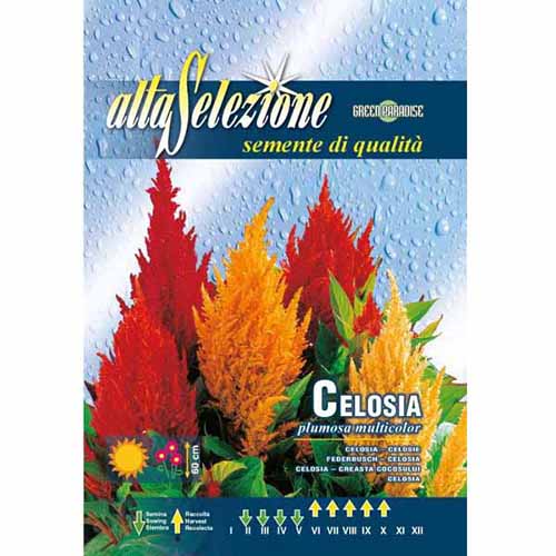 1 pac, Creasta cocoșului, mix multicolor - Semințe: Mod de ambalare: 1.2 g