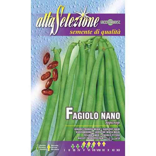 1 pac, Fasole oloagă Top Crop - Semințe: Mod de ambalare: 250 g
