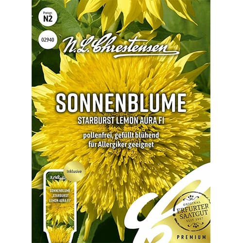 1 pac, Floare soarelui decorativă Starburst Lemon Aura F1 - Semințe: Mod de ambalare: 1 pac