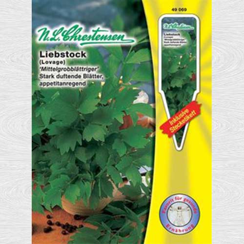 1 pac, Leuștean de frunze Medium Leaf - Semințe: Mod de ambalare: 1 pac