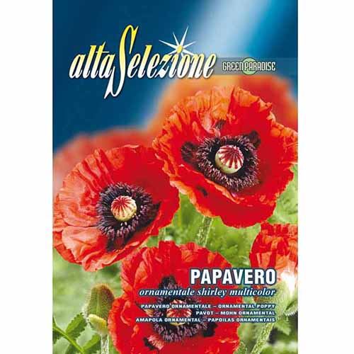 1 pac, Mac ornamental roșu - Semințe: Mod de ambalare: 0.5 g