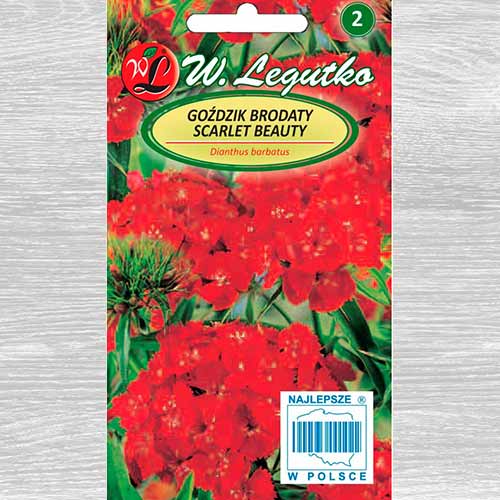 1 pac, Garoafă turcească Scarlet Beauty Legutko - Semințe: Mod de ambalare: 0.5 g