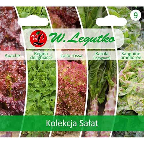 1 pac, Colecție de salată verde, pachet cu 5 soiuri - Semințe: Mod de ambalare: 1 pac