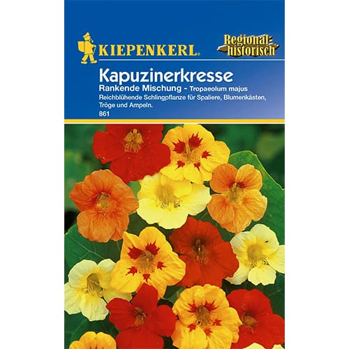 1 pac, Condurul doamnei Rankende, mix multicolor - Semințe: Mod de ambalare: 1 pac