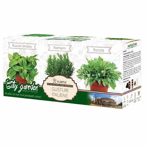 1 pac, Set de mirodenii Gusturi italiene - Semințe: Mod de ambalare: 1 pac