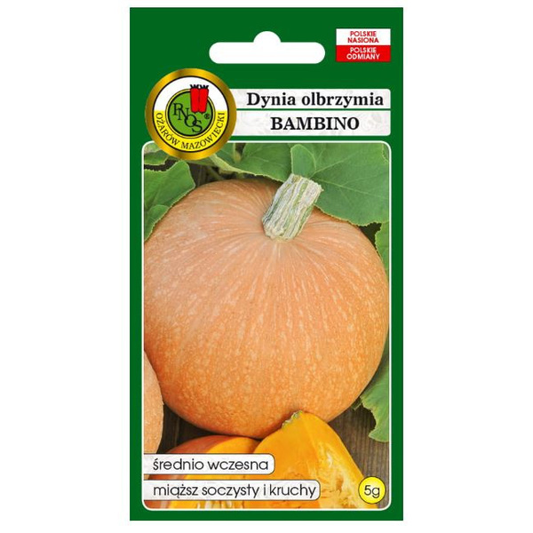 Nasiona Dynia Olbrzymia Bambino 5g