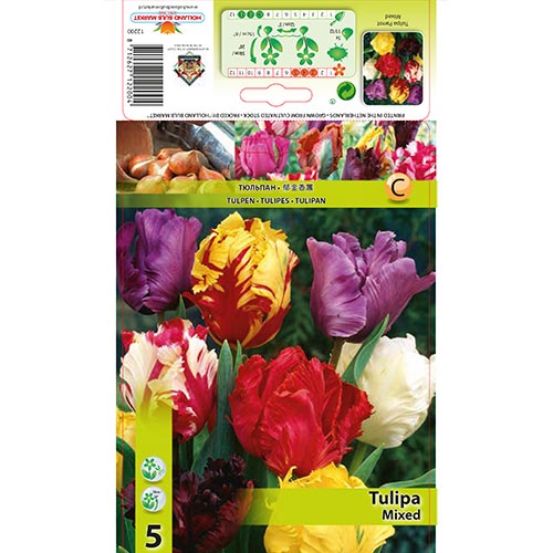 5 db, Tulipan Parrot, színkeverék - Hagymák: Mod de ambalare: 5 db
