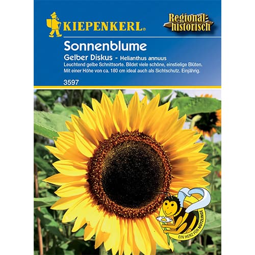 1 szt, Sonnenblume Gelber Diskus - Samen: Ilość w opakowaniu: 1 Stück